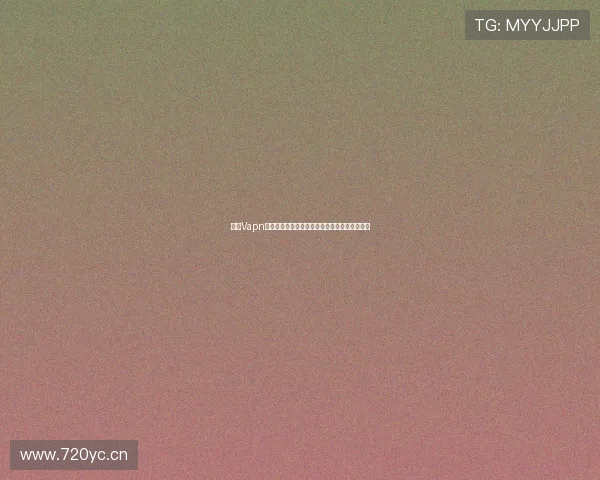 天行Vapn下载安装官网详细教程与最新版本下载地址推荐